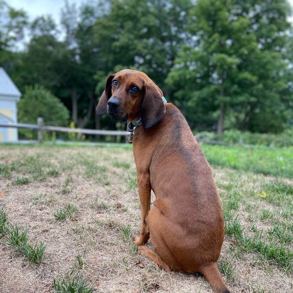 Meet your Posher, Zoe
